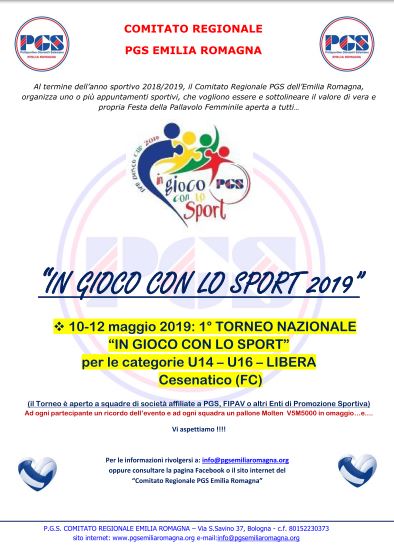 Volantino TORNEO NAZIONALE 2019 VOLLEY okk